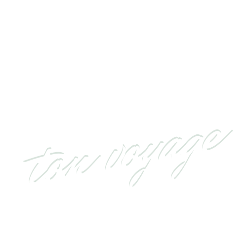 guide ton voyage logo blanc